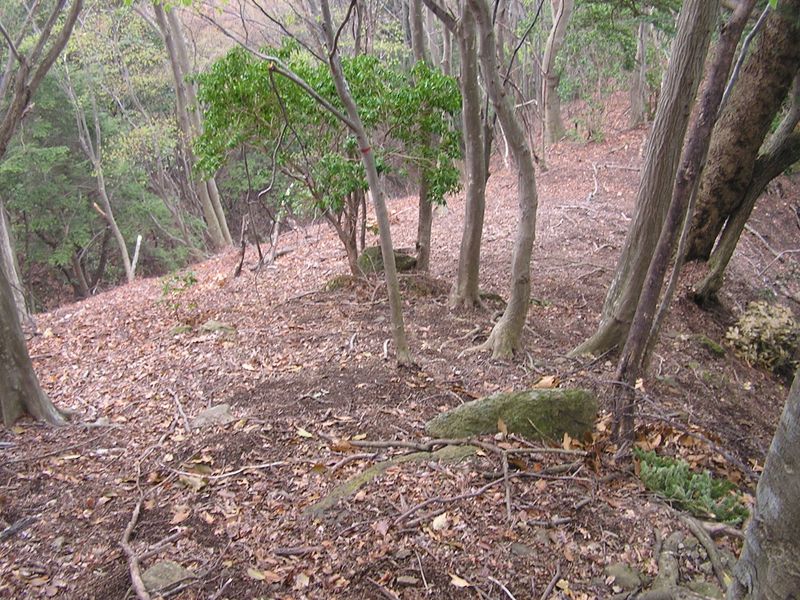 大山ミニアドベンチャー -- 東南東に伸びる尾根を真っ直ぐに下っていった