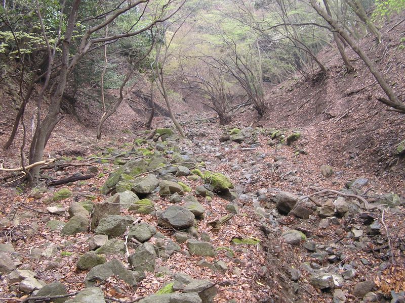 大山ミニアドベンチャー -- 尾根が終わってしまった