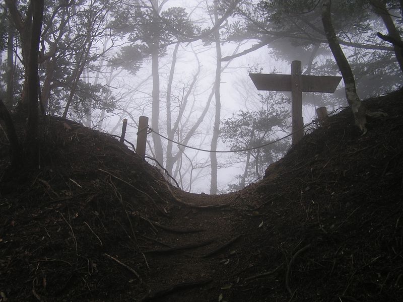 大山ミニアドベンチャー -- 梅ノ木尾根入口に戻って来た