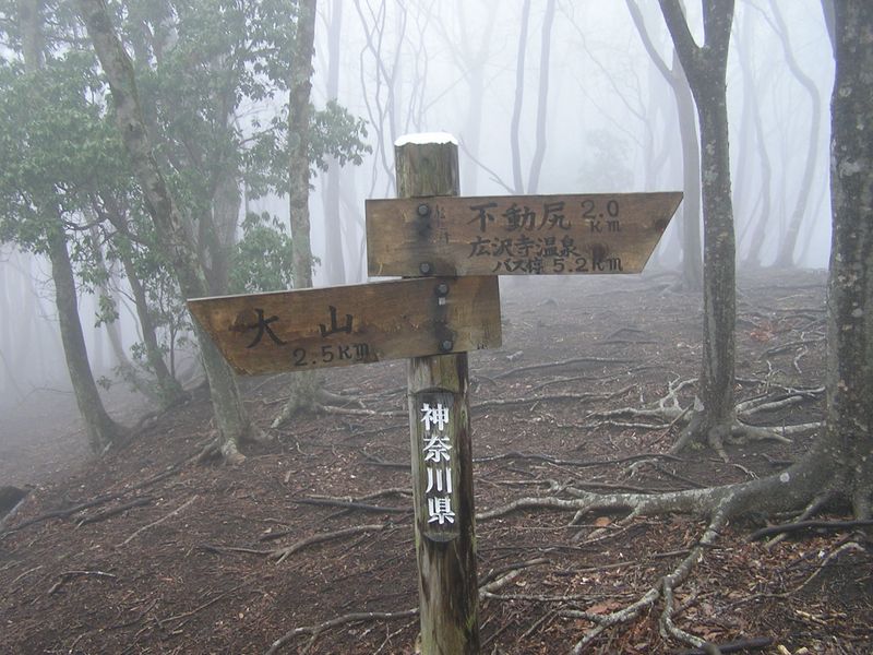 大山ミニアドベンチャー -- ここで縦走路を離れて、不動尻に下る