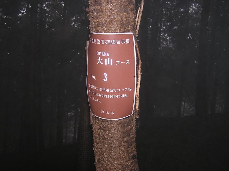 大山ミニアドベンチャー -- 携帯電話が通じるか試してみた