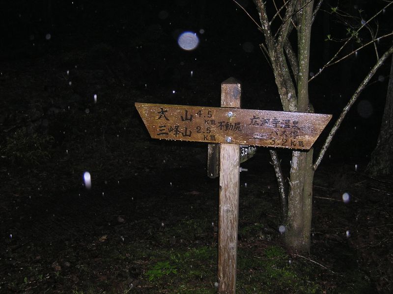 大山ミニアドベンチャー -- やっと不動尻