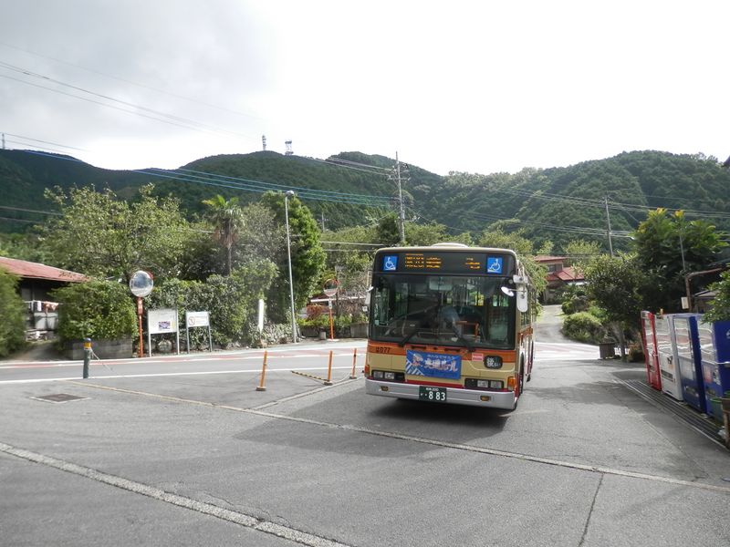 大山 -- バスの終点、蓑毛に到着