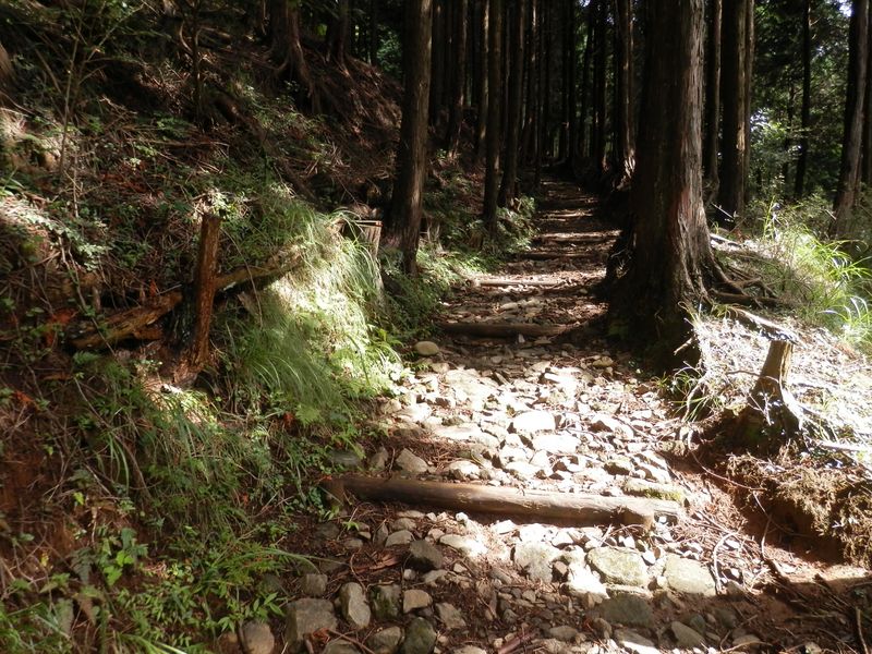 大山 -- 幅広の「関東ふれあいの道」を登る