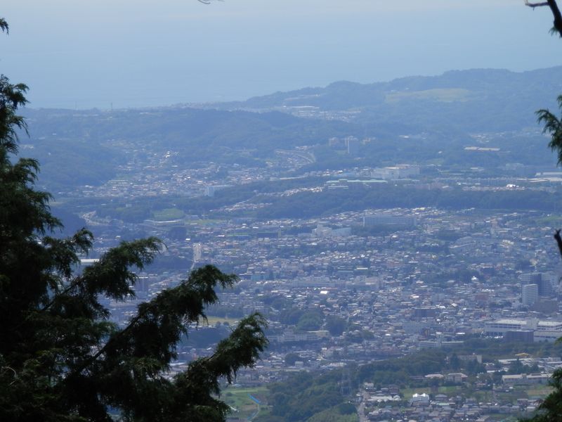大山 -- 樹間から臨む、相模湾と秦野市