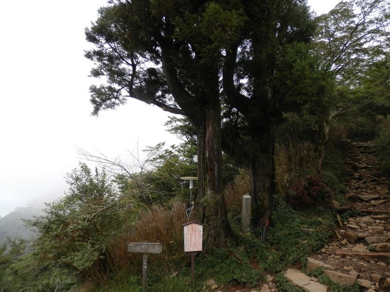 大山 -- 富士が見えなかった富士見台