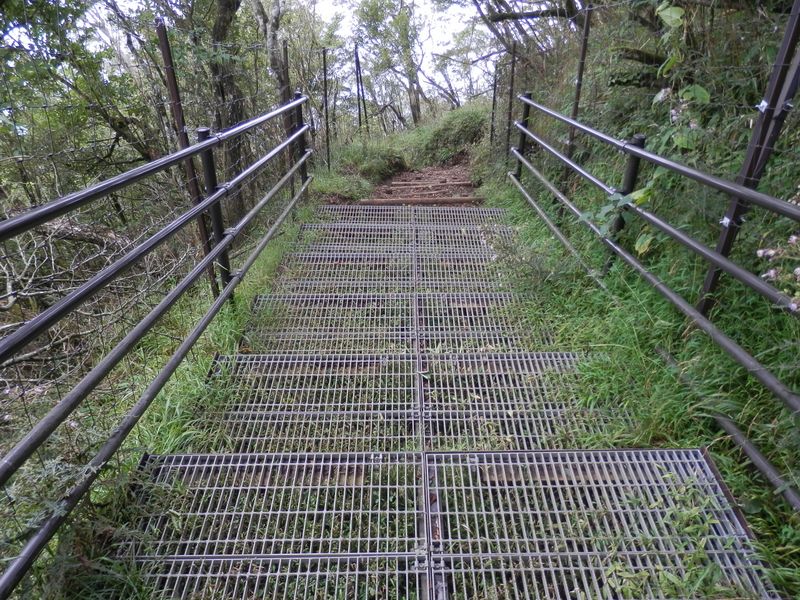 大山 -- シカ除けのグレーチング階段
