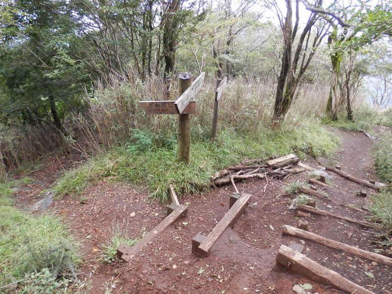 大山 -- 右は見晴らし台経由日向薬師、左は不動尻経由広沢寺温泉へ
