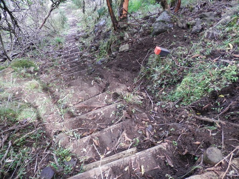 大山 -- シカに荒らされた登山道