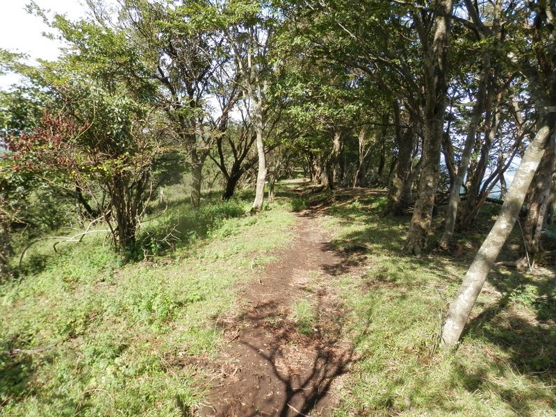 大山 -- このあたりは気分良く歩けた