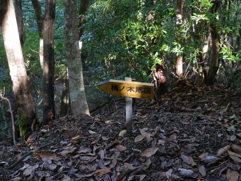 大山 -- 最近立てられた道しるべ。高さ20cm