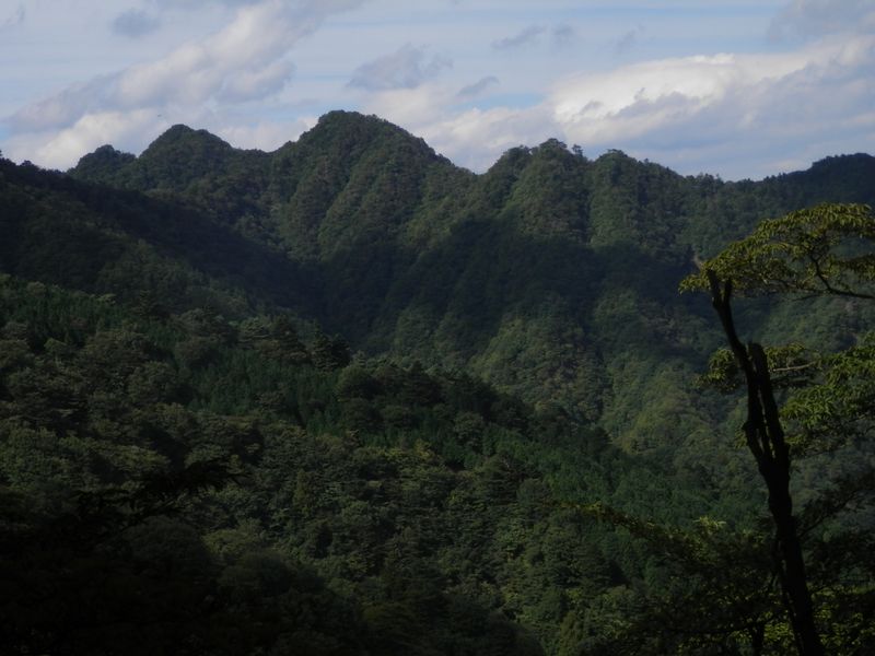 大山 -- 三峰山を望む