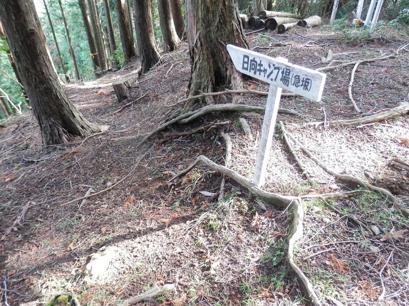 大山 -- 鍵掛尾根を下る