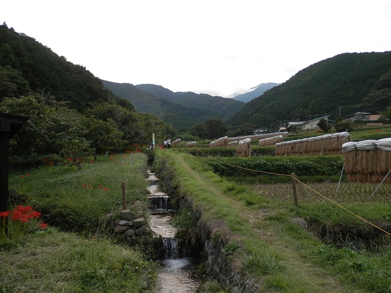 大山 -- 奥に見えるのが大山