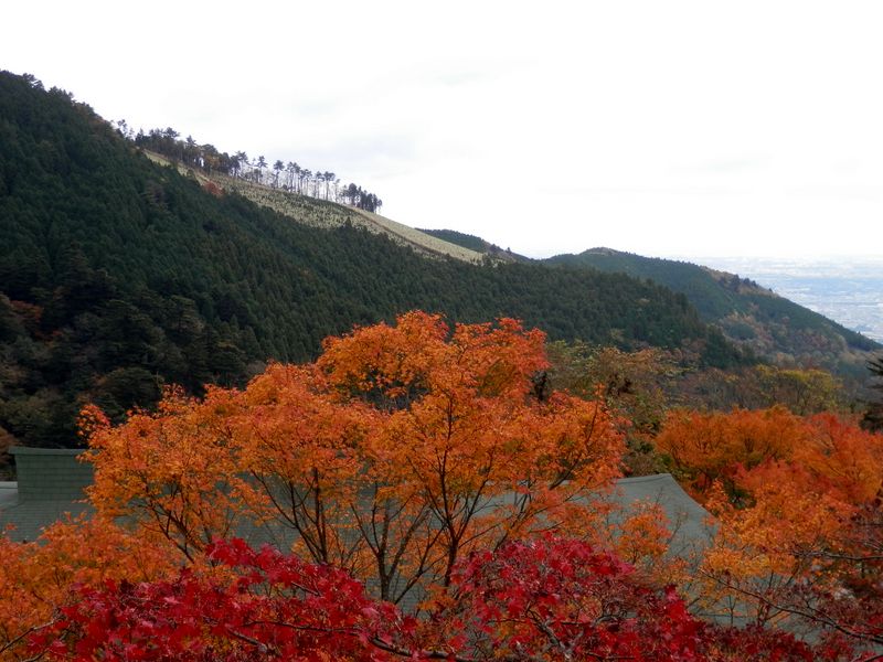 下社より大山南東尾根を望む