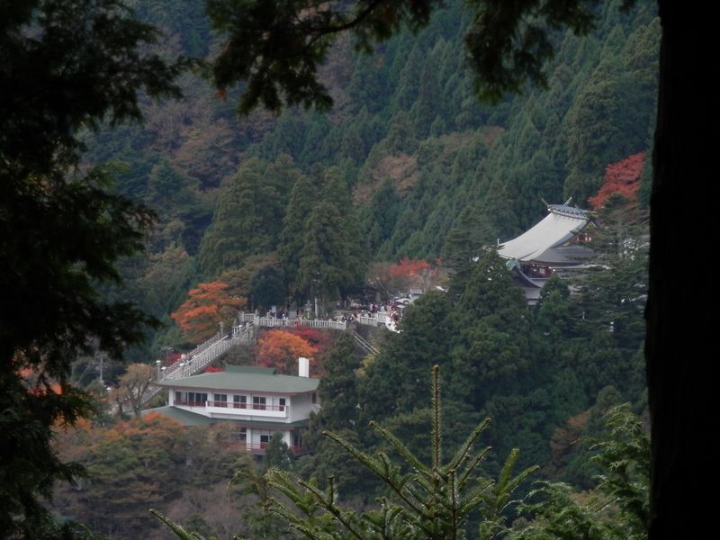 阿夫利神社（下社）を望む