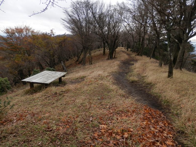 大山支尾根散策 -- すてきな休憩所