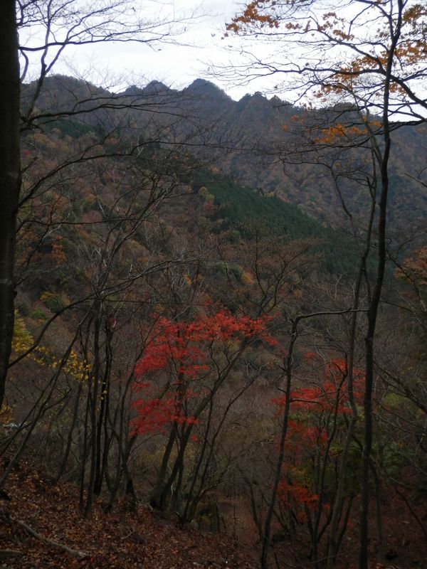 また大山三峰山を望む