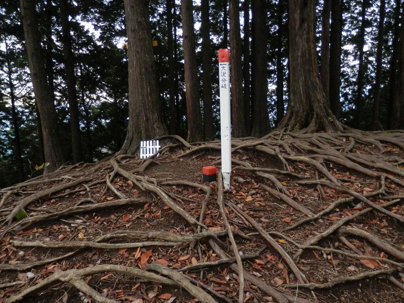 ここで鍵掛尾根が右に分岐