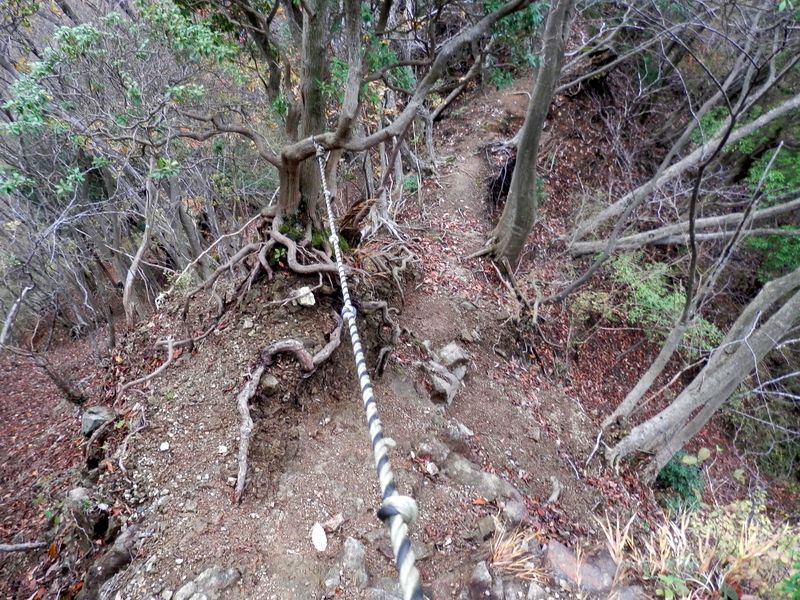 弁天御髪尾根のありがたいロープ