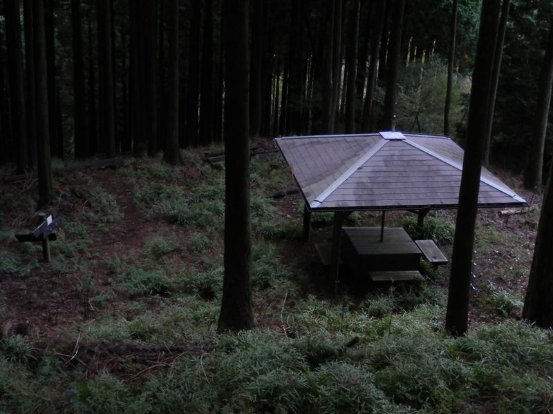 巨木の森分岐の東屋