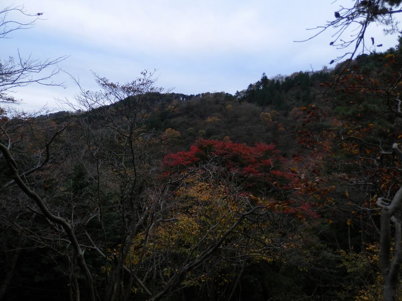 弁天御髪尾根から、先ほど右に分けた梅ノ木尾根を望む