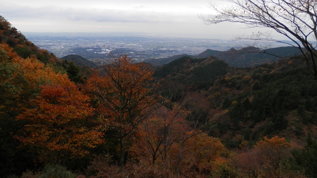 梅ノ木尾根（中央）と大山南東尾根（右）