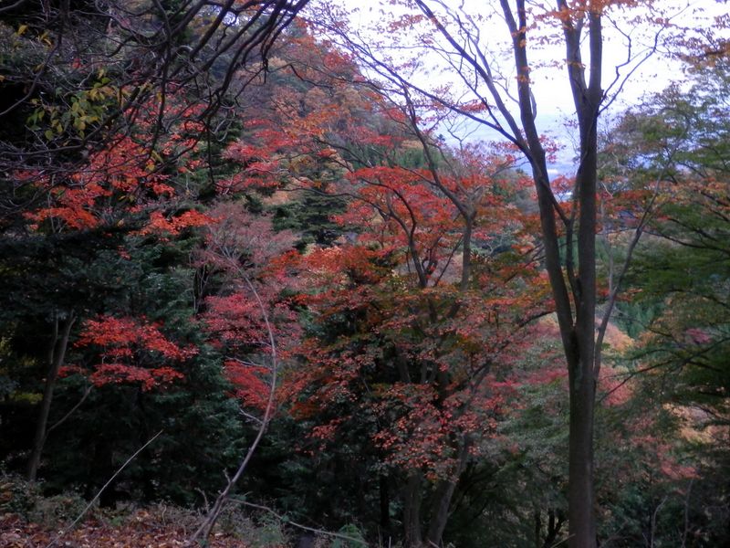 まもなく見晴広場Ａ