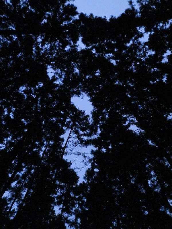 明るいのは空だけになった