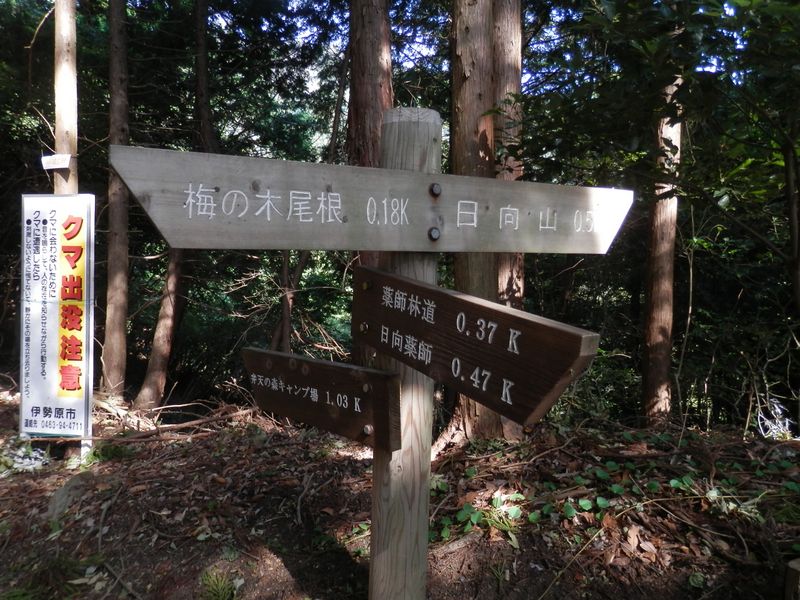 この峠で左折して梅ノ木尾根へ