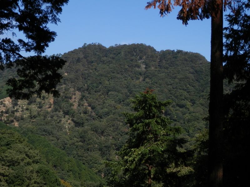 537m峰より、弁天御髪尾根を望む