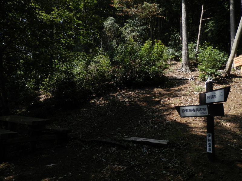 浄発願寺奥の院への分岐