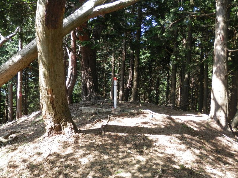 ニノ沢の頭で右折