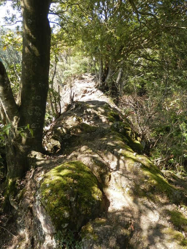 ヤセ尾根では足元に注意