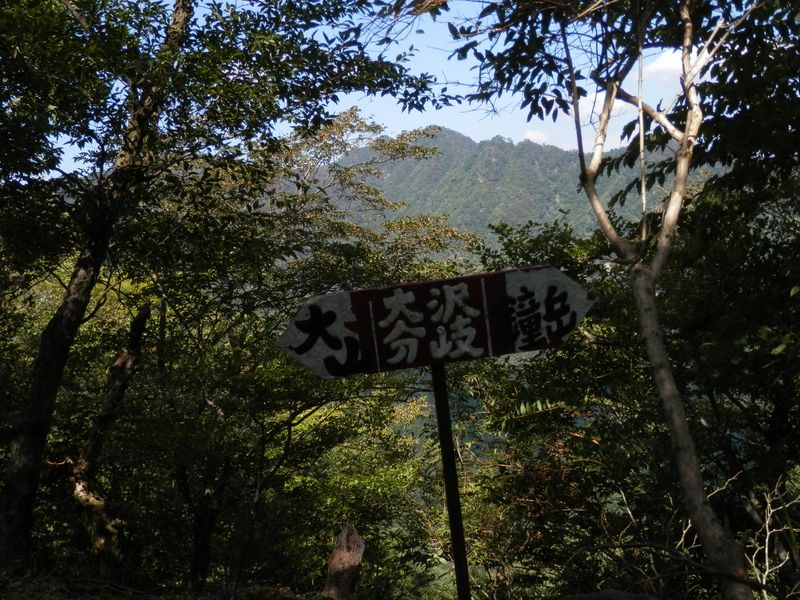 大沢経由鐘ヶ岳への分岐