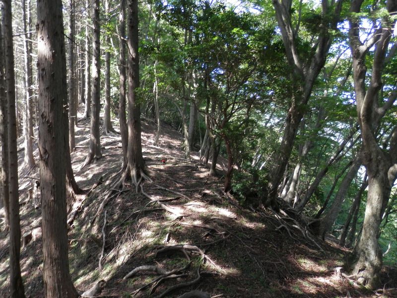 相変らずヤセた尾根を西に進む