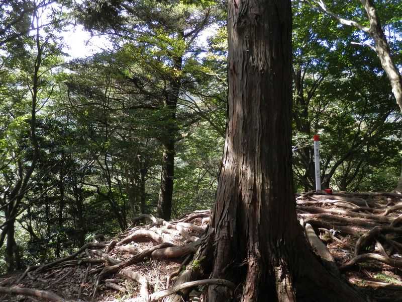 左より、鍵掛尾根を合わせる