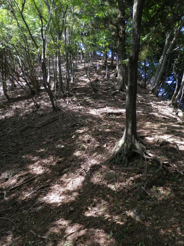 893m点の手前の急登