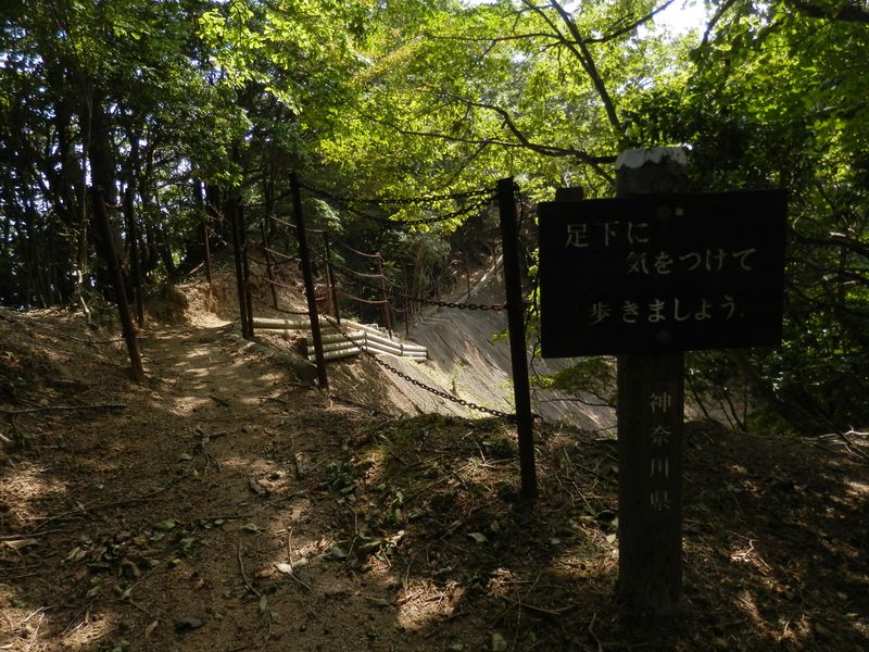 大山三峰山を思わせる崩落地