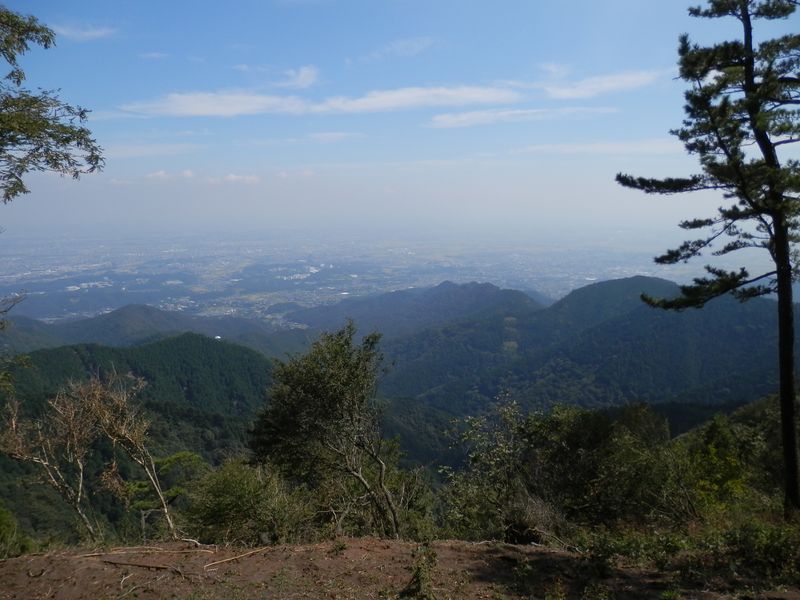秦野市街地を望みながら昼食