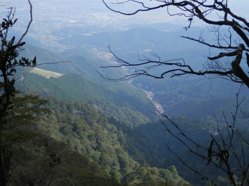 大山阿夫利神社下社と参道を望む