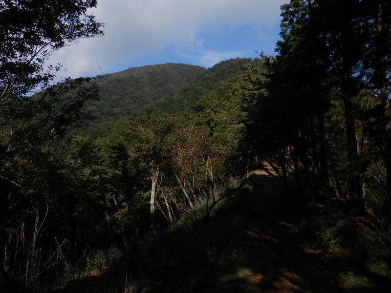 イタツミ尾根より、大山を振り返る