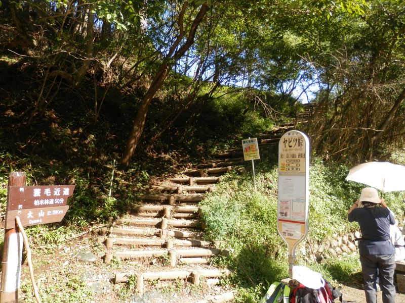 ヤビツ峠に到着