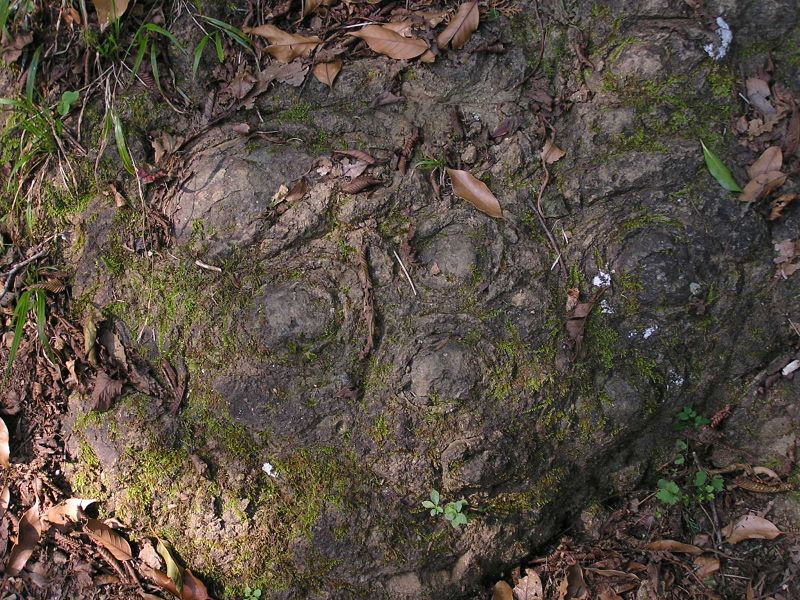 大山 -- ぼたん岩