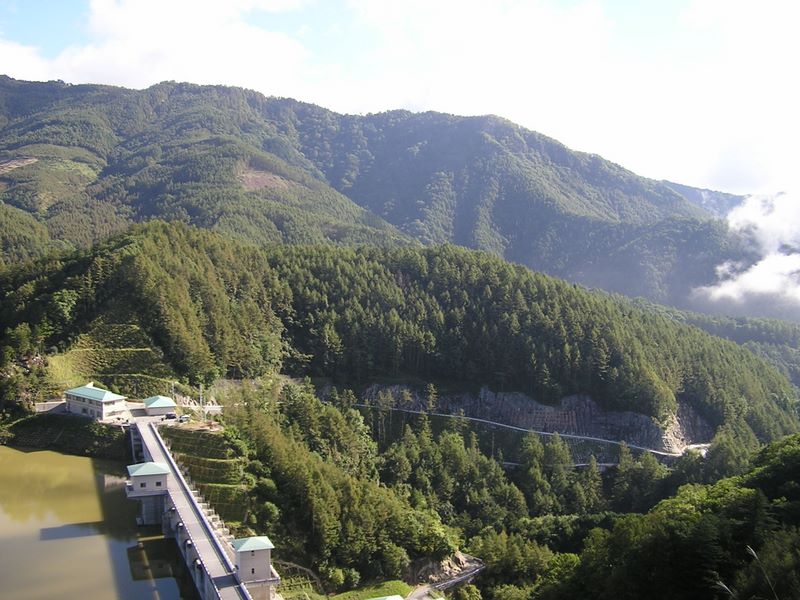 乙女高原 -- 鳥ノ尾根から大鳥山に続く稜線