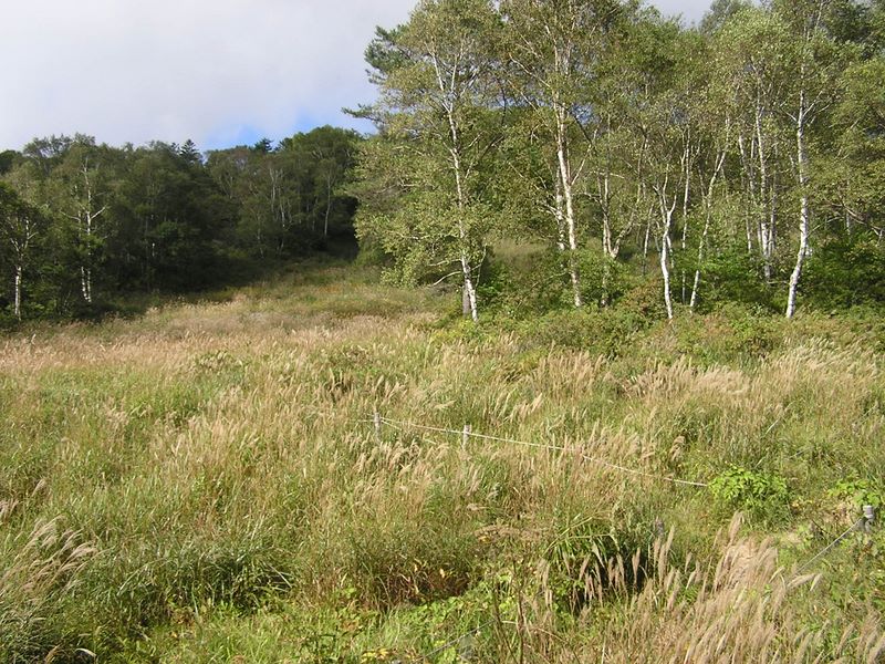 乙女高原 -- 乙女高原に到着。標高約1700m