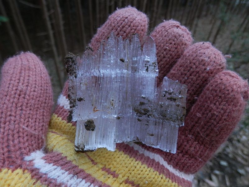 扇山 -- 大きな霜柱を踏みながら歩く