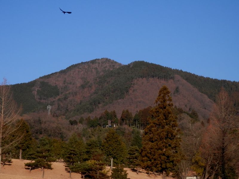 ゴルフ場の向こうの扇山