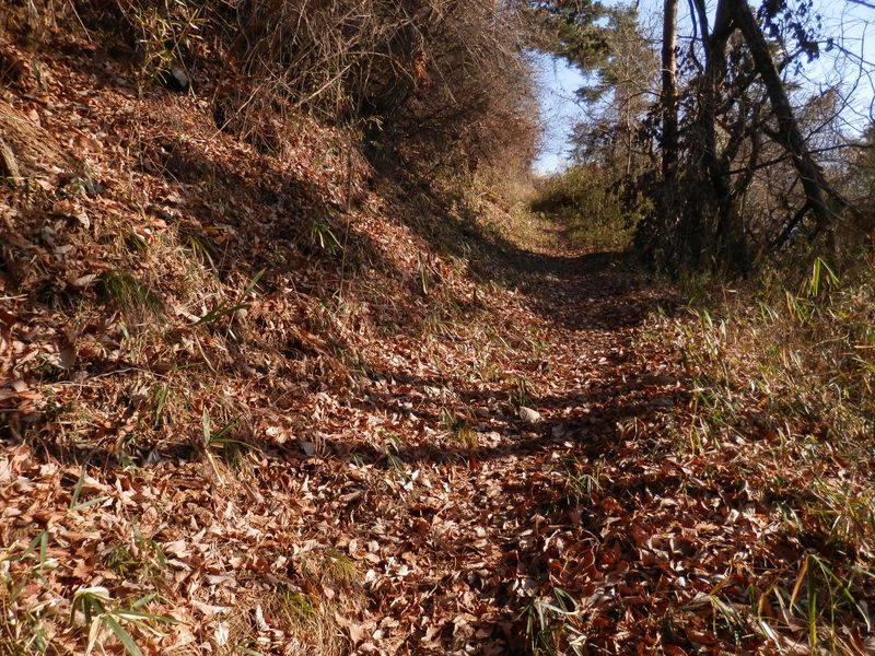 扇山 -- 明るく暖かなジグザグ道を登って行く