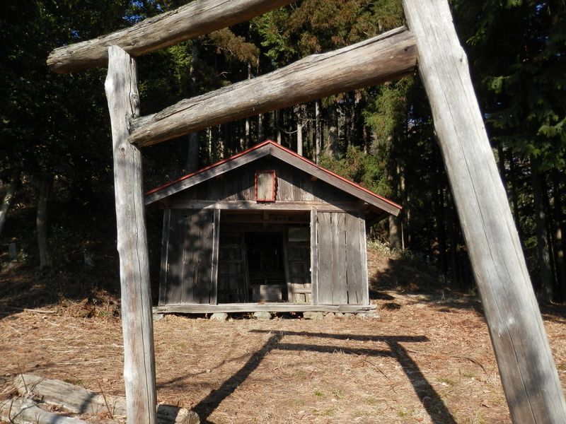 鳥居の傾いた金比羅神社